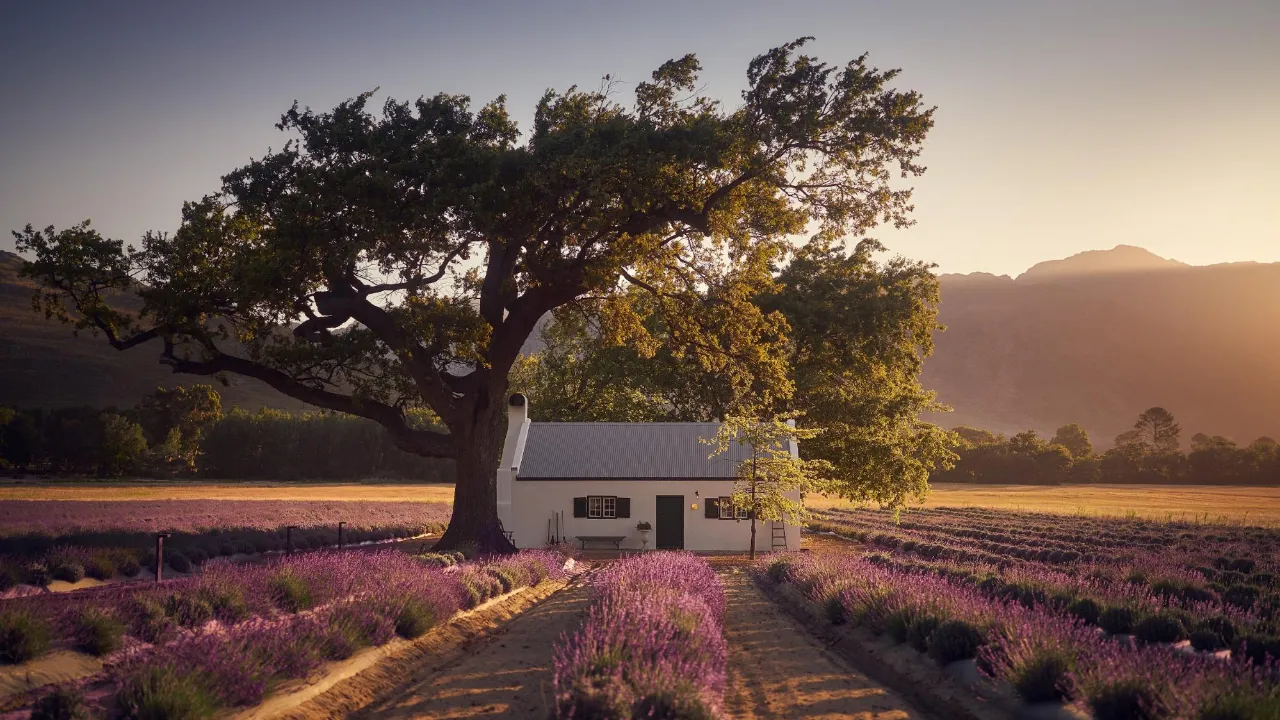 The Waterbok Story